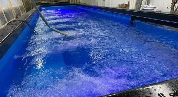 40FT Luxury Swimming Container Pool
