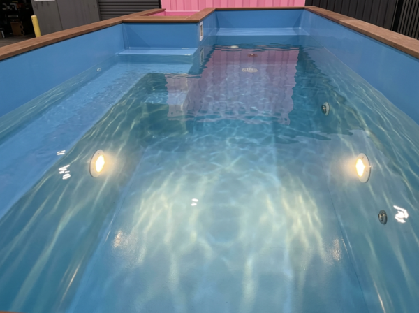 Pink 20 FT Container Pool