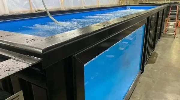 40FT Luxury Swimming Container Pool