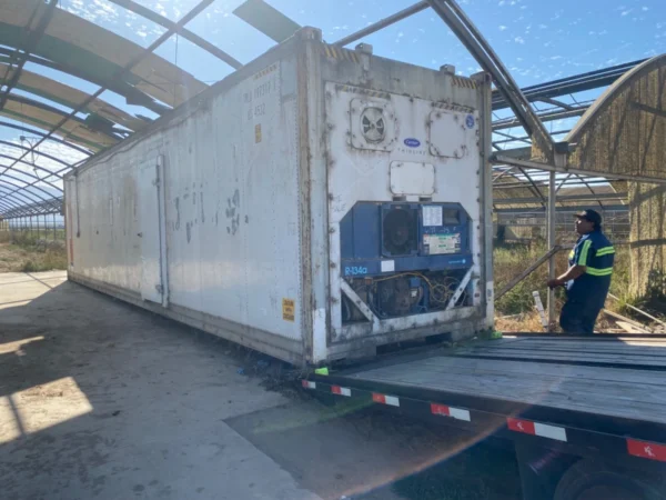 Used 40 ft Refrigerated Container with Added Side Entry